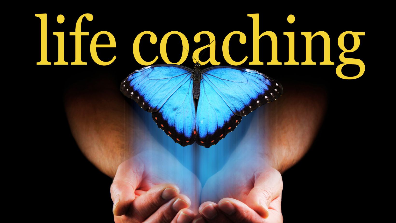 inner growth in New York